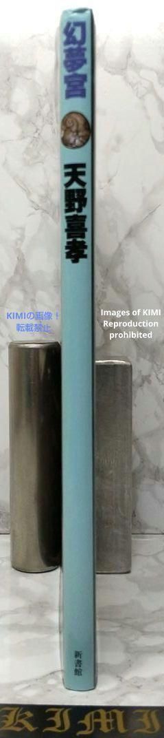 幻夢宮 1987 天野 喜孝 イラスト集 本 第4刷 げんむきゅう あまの よ