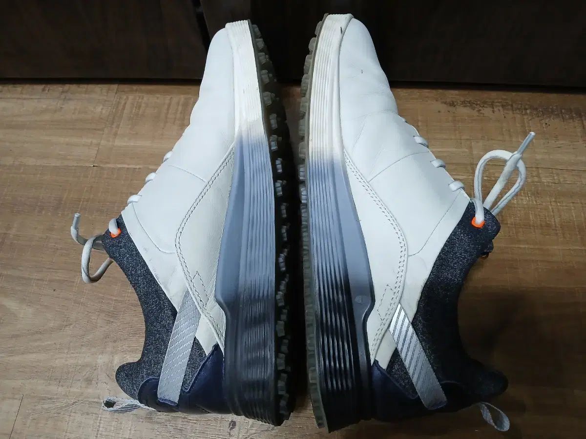 ECHOゴルフシューズ Ecco(エコー) GORE-TEX(ゴアテックス) ゴルフシューズ 275mm
