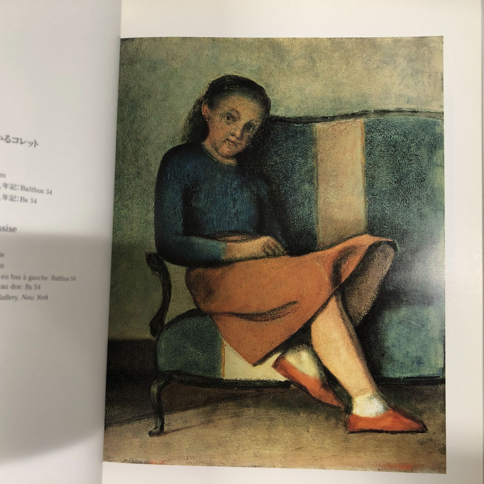 BALTHUS バルテュス図録 BALTHUS バルテュス図録