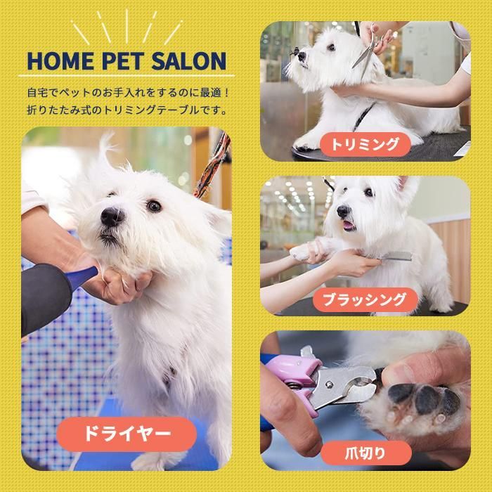 ネコ