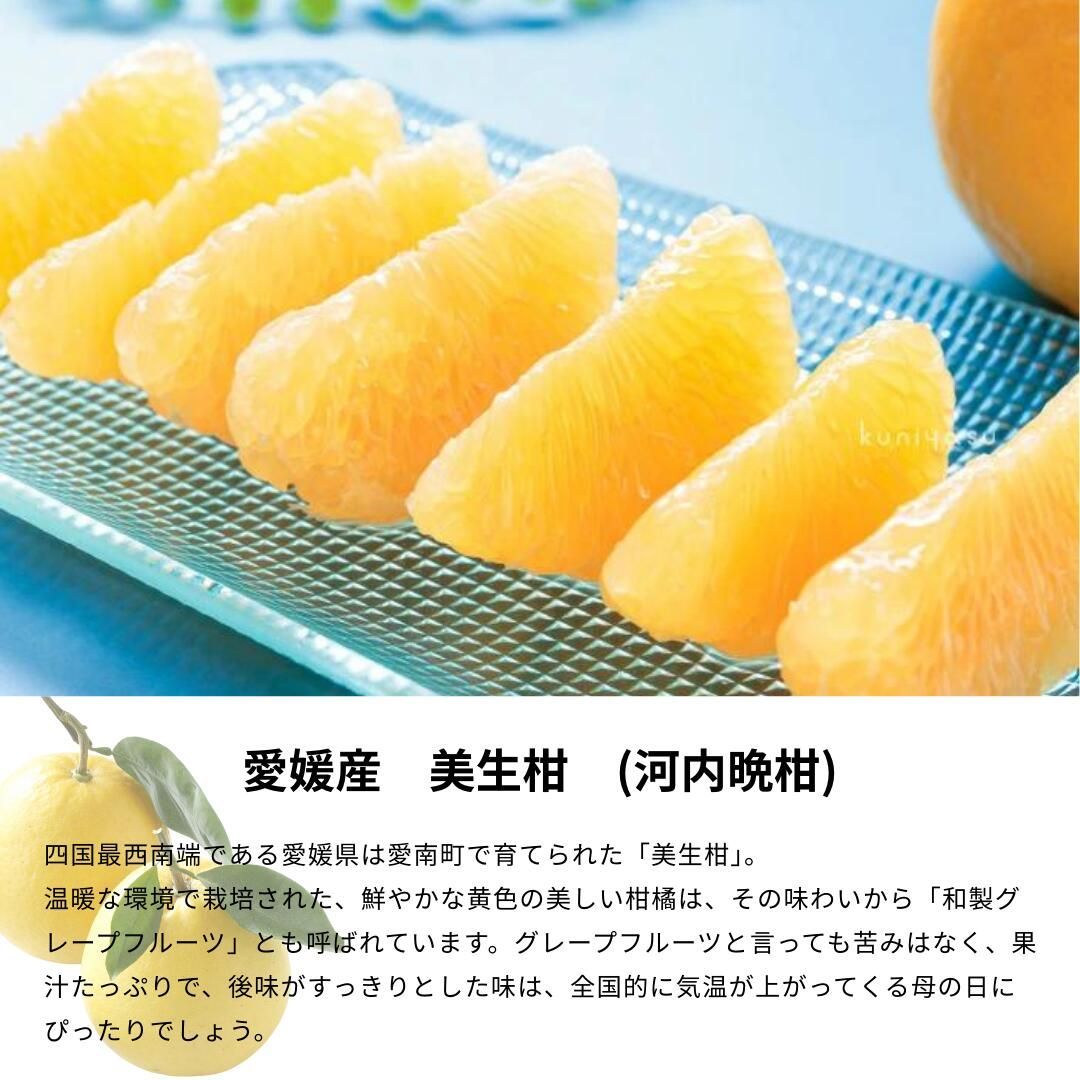 フルーツバスケット