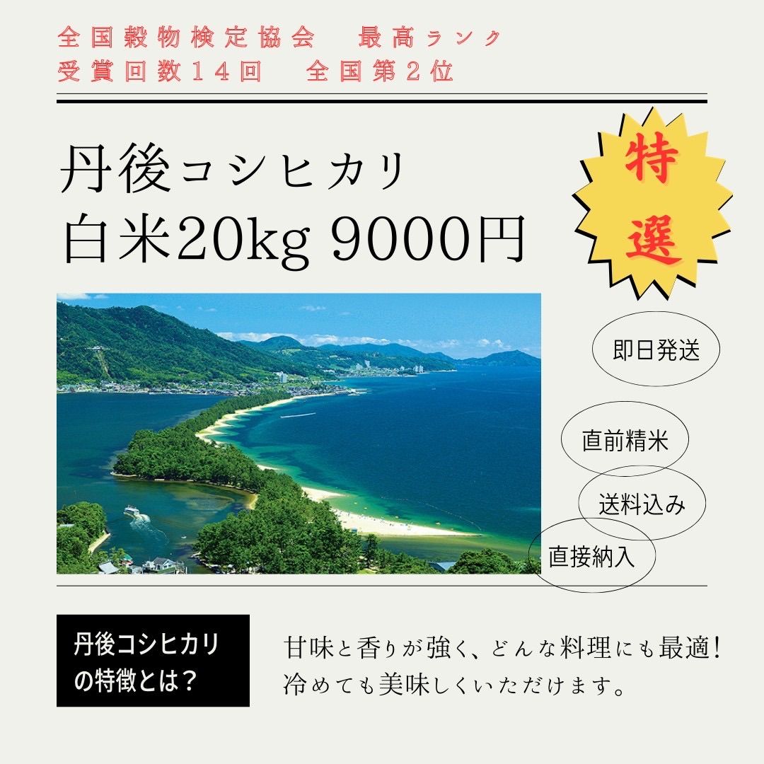 超美品 ディオール レザー クラッチバッグ ポーチ A4サイズ 現行品