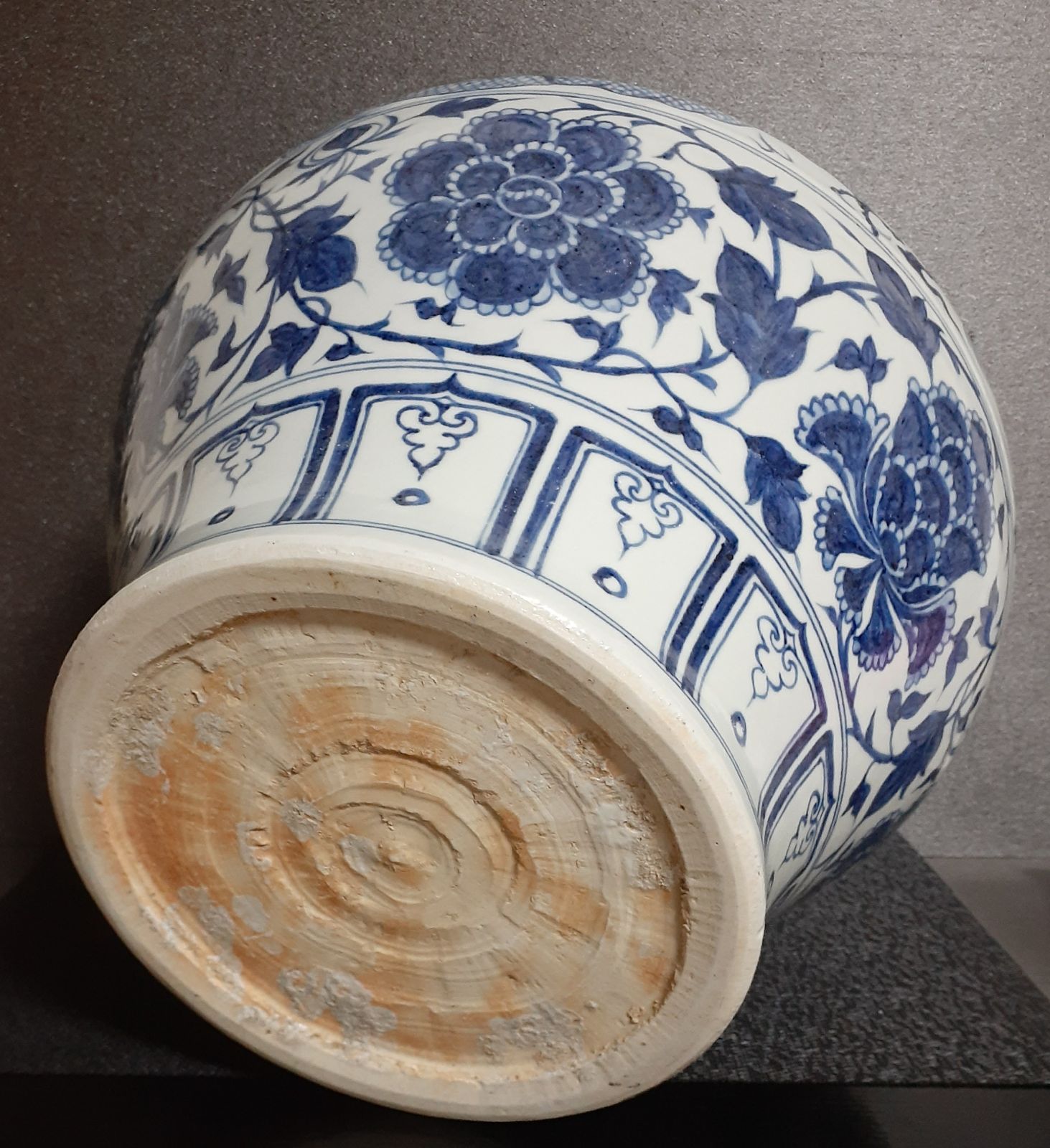 【名品❗️】中国古美術　中国古陶磁器　古玩　清代　古染付青華　花に卍文に蝶図兜皿