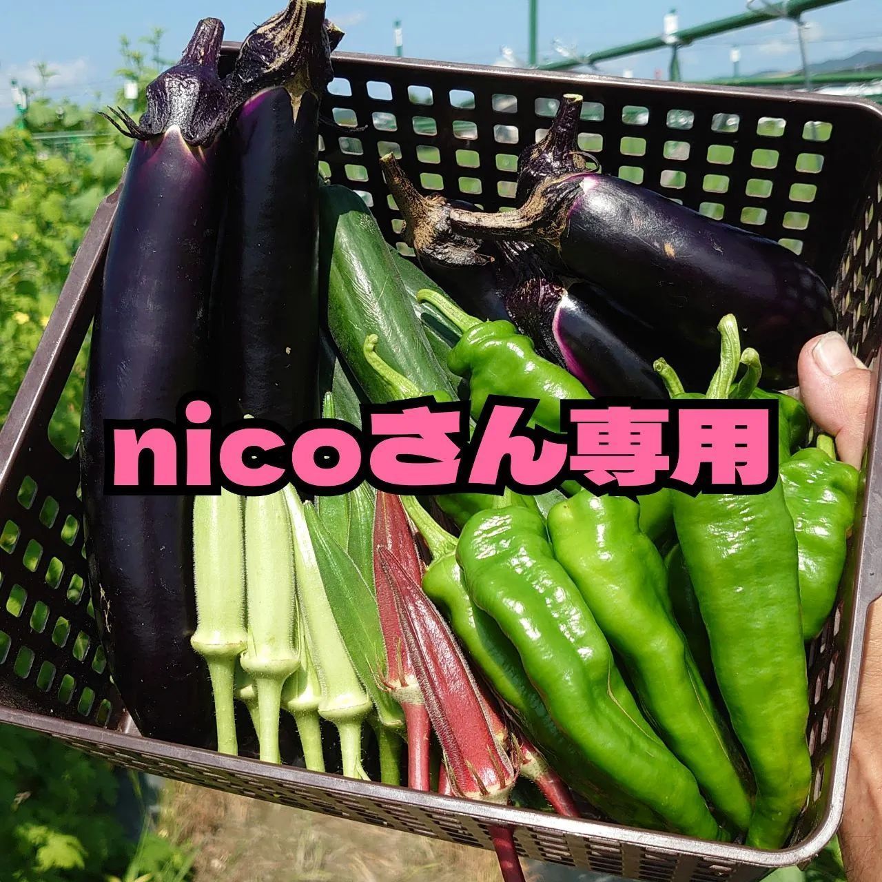 nicoさん専用】野菜セット - メルカリ