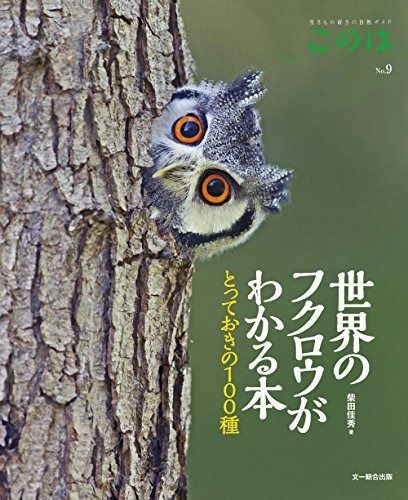 ❌水族館好き(❁ᴗ͈ˬᴗ͈)水族館の生き物 水族館の美しい生きものたち