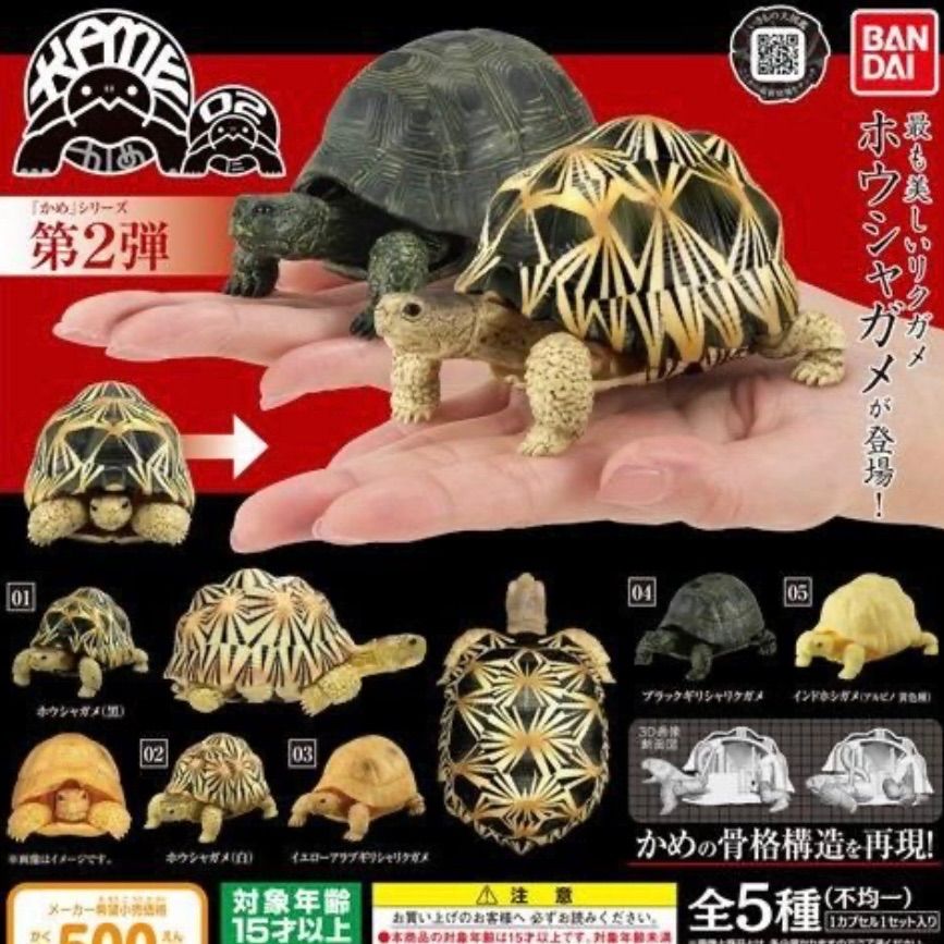 いきもの大図鑑かめ02ガチャガチャ亀マスコット人形フィギュア