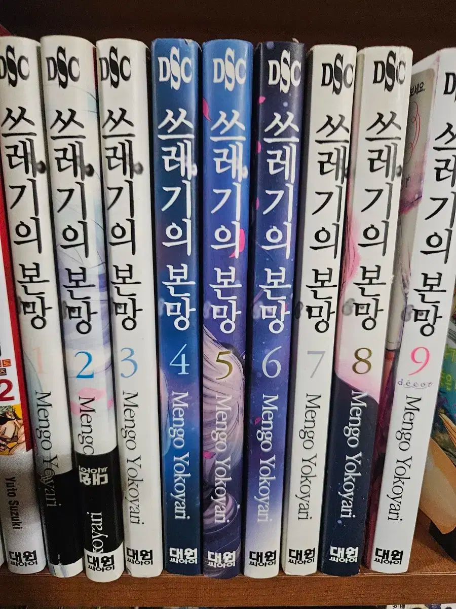 アンドレ・ブラジリエ、ローマの騎手、希少画集の一頁、 新品高級額装付