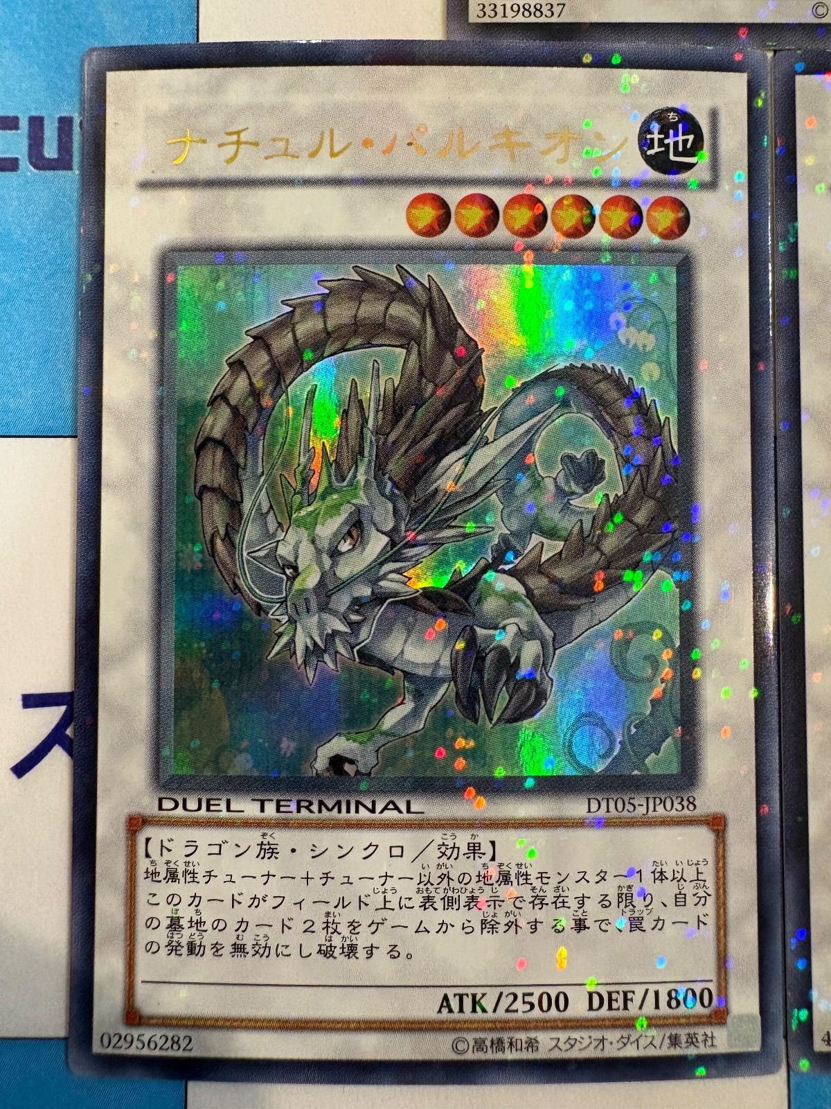 遊戯王 ナチュルビースト ナチュルパルキオン ナリュル