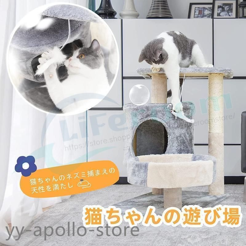 子猫