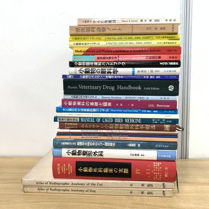 新品•未開封】シルバニア⭐️アイボリーイヌ スイミング