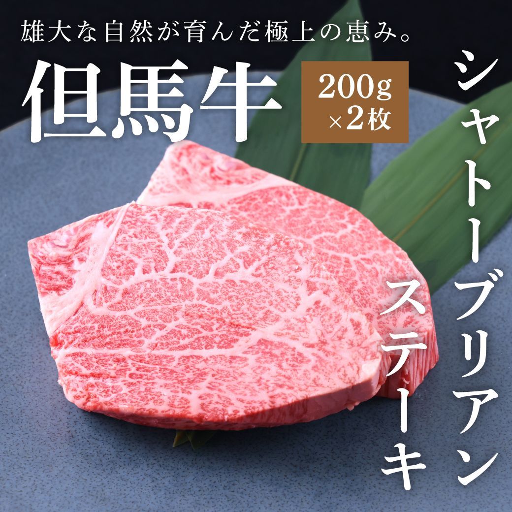 但馬牛 A5ランク雌牛 黒毛和牛シャトーブリアンステーキ 400g 200g×2枚 ギフト BBQ お祝い 贈答用