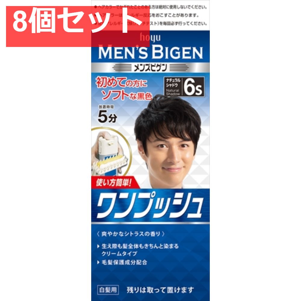 メンズビゲン ワンプッシュ 6S ナチュラルシャドウ 8個セット まとめ売り