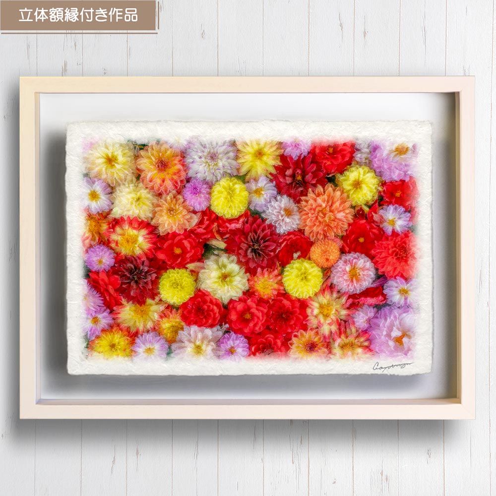 和紙の絵写真 「一面のダリアの花(赤黒)」 立体額縁付き 38x27cm 絵画 インテリア 玄関 風水 風景画 アート パネル ポスター おしゃれ 新築祝い 絵 壁掛け 和モダン 和風 ジャパンディ秋 花の絵