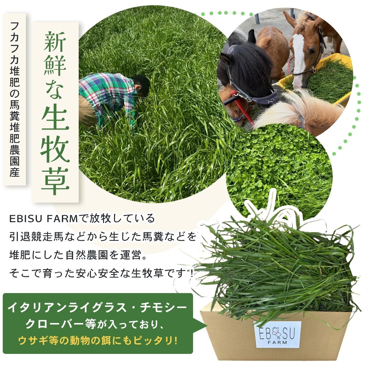 大容量