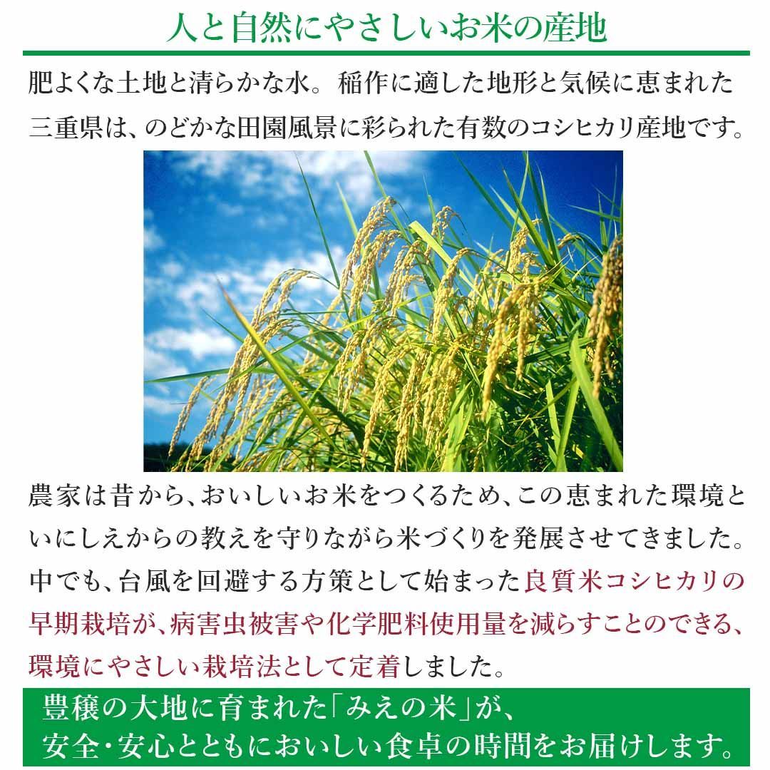 食品 ギフト