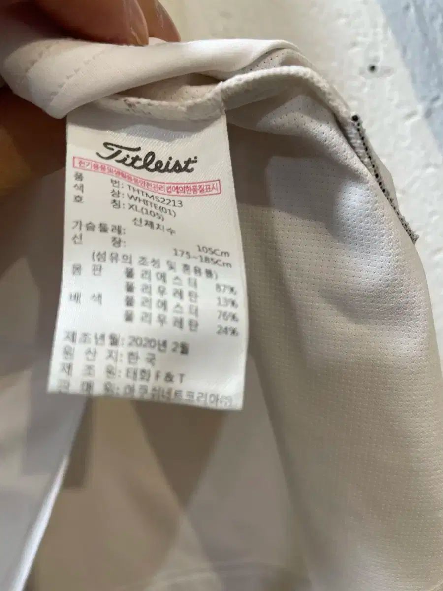 襟付きTシャツ
