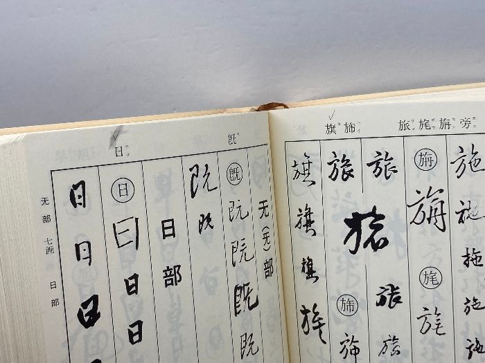 王鐸字典 二玄社 王鐸字典 王鐸字典 二玄社 伊藤 松涛 王鐸字典 -