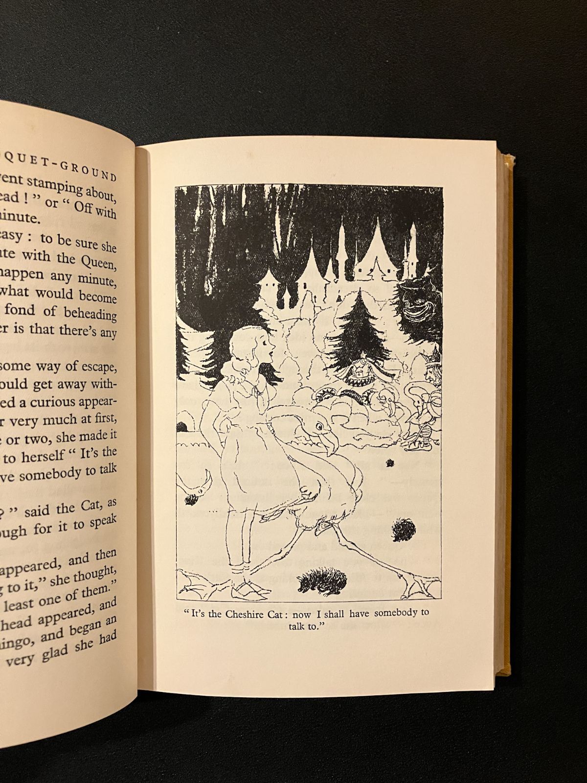 アンティーク洋書 不思議の国のアリス Alice's Adventures in