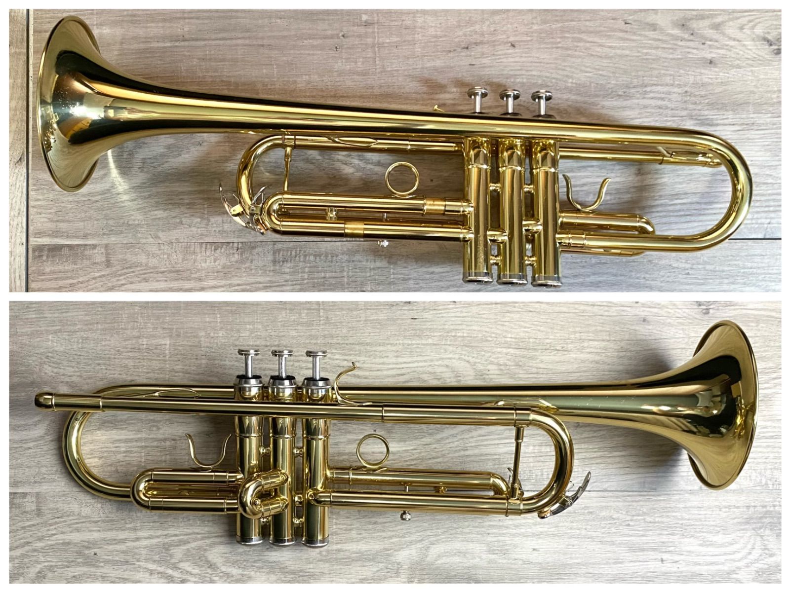 SELVA セルバ トランペット STR-100 初心者向け 楽器 ケース付き