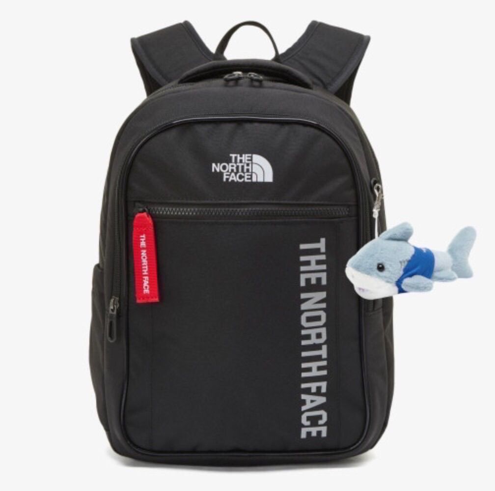 THE NORTH FACE ノースフェイス キッズ スターライトエアー スクールバック リュック 子供用 旅行かばん 人気 ブラック色 海外限定 -  メルカリ