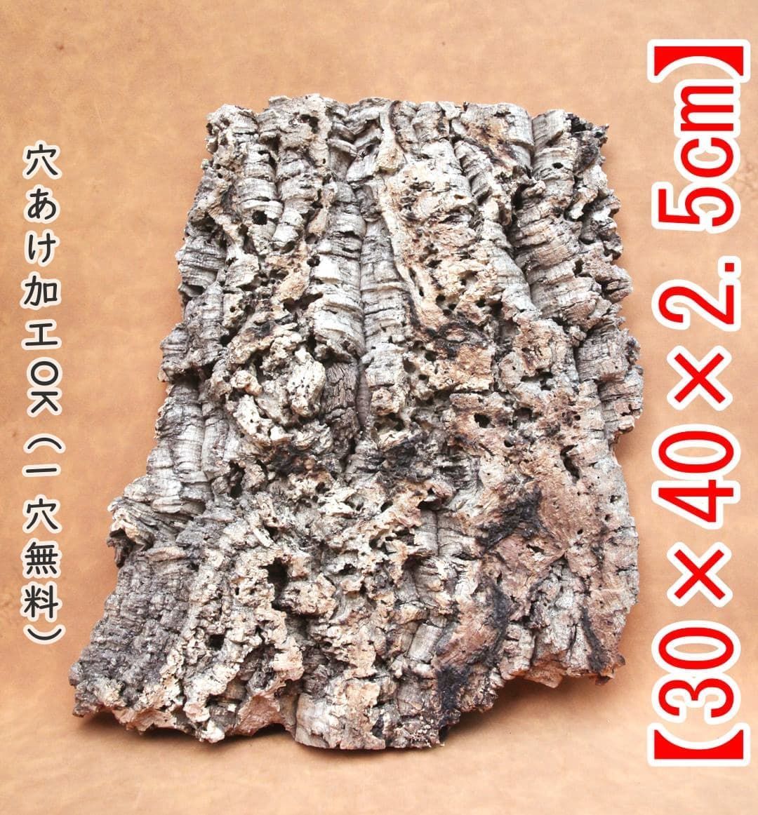 D479 ポルトガル産 厚め コルク樹皮 コルク板 バージンコルク 送料無料 チランジア ビカクシダ 着生ラン 両生類 爬虫類