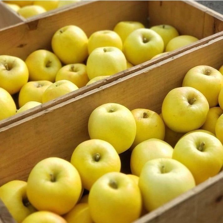 青森県産 もりのかがやき りんご【A品3kg】【送料無料】【農家直送】リンゴ-2