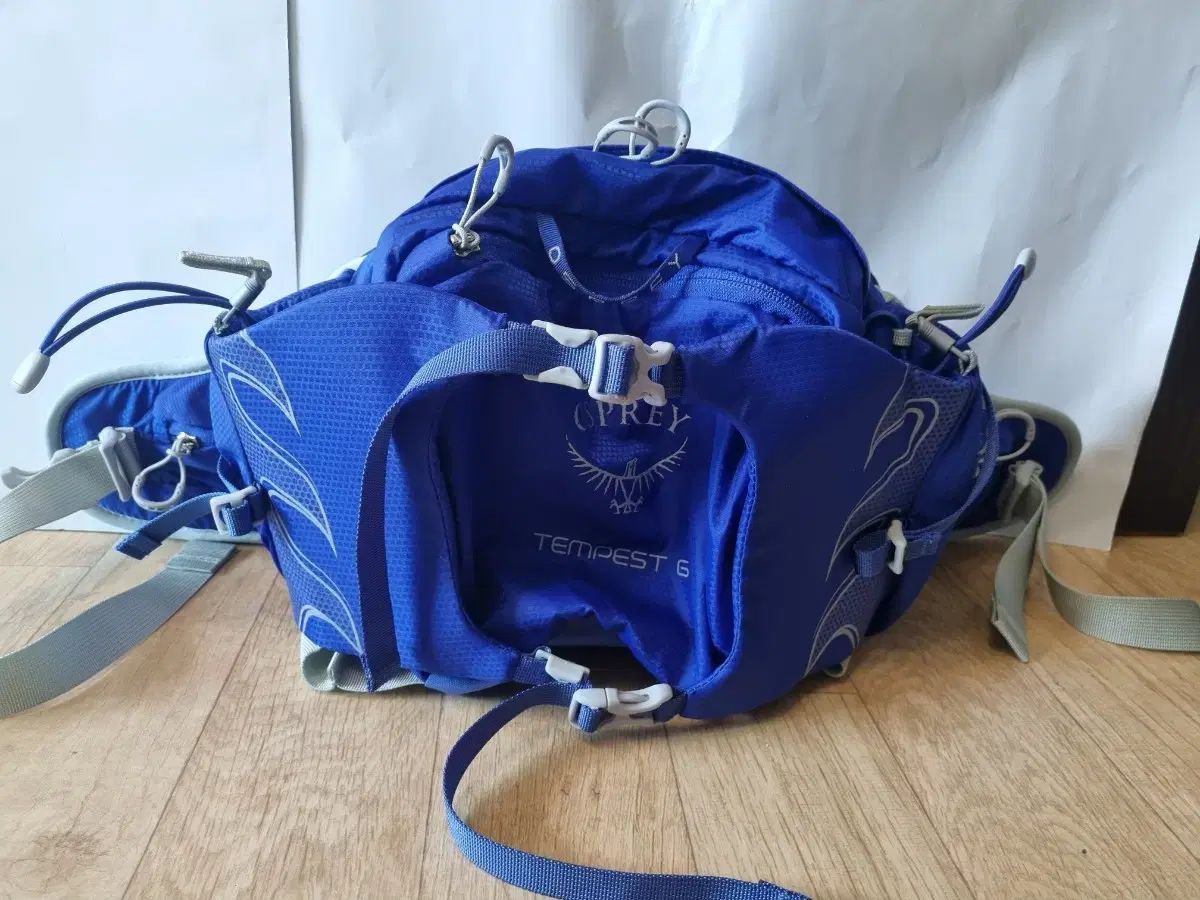 オスプレイ OSPREY 嵐 6 ヒップバッグ