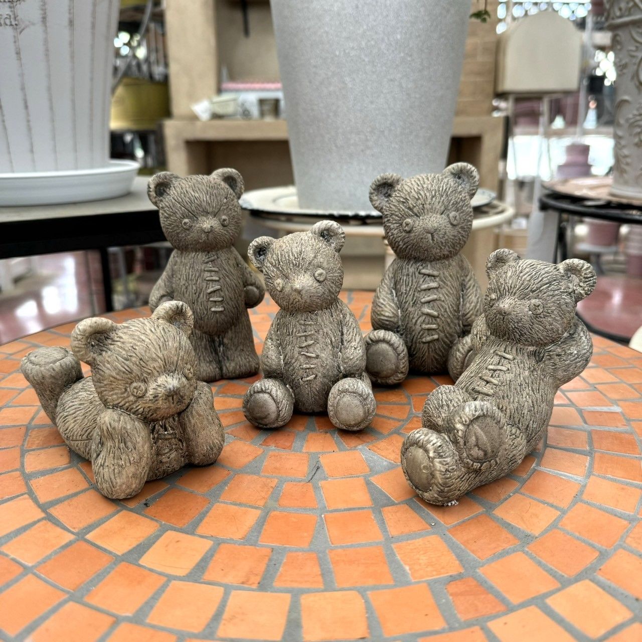 超美形株　美株　サンスベリア　ロリダ　鉢、皿付　●発根、成長確認　宅配便　少斑入 超美形株 美株 サンスベリア ロリダ 鉢、皿付 ○発根、成長確認 宅配