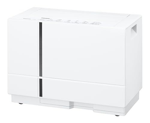 送料込み＊パナソニック ハイブリッド式衣類乾燥除湿機 2020年製＊1001-1