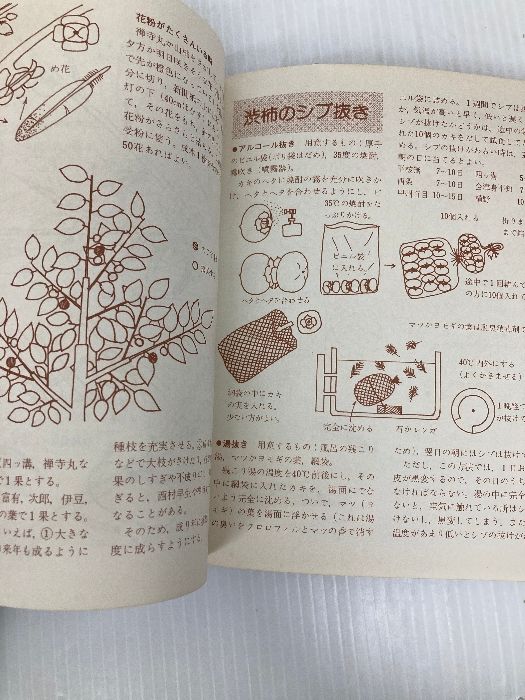 【中古】 ミニ図解・庭でつくる果樹 植え方手入れ果実の利用/誠文堂新光社/広瀬和栄 ミニ図解・庭でつくる果樹―植え方手入れ果実の利用 誠文堂