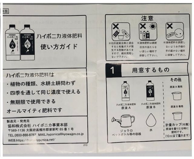 水耕栽培キット　パクチー　初心者向け　家庭菜園　自家栽培