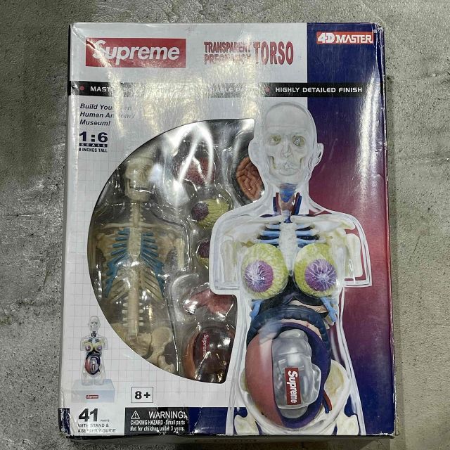 新品 supreme 人体模型 シュプリーム Anatomy フィギュア Supreme 18aw Male and Female Anatomy Model 