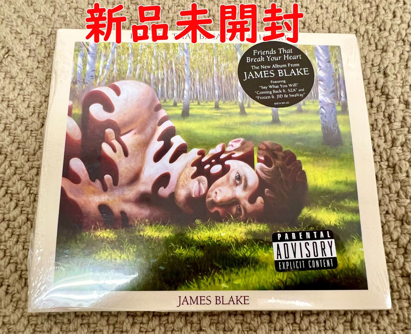 Friends That Break Your Heart】ジェイムス・ブレイク / James Blake 