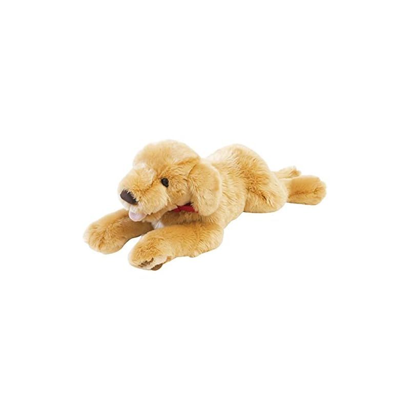 ぬいぐるみ M ゴールデンレトリバー コレクション 犬