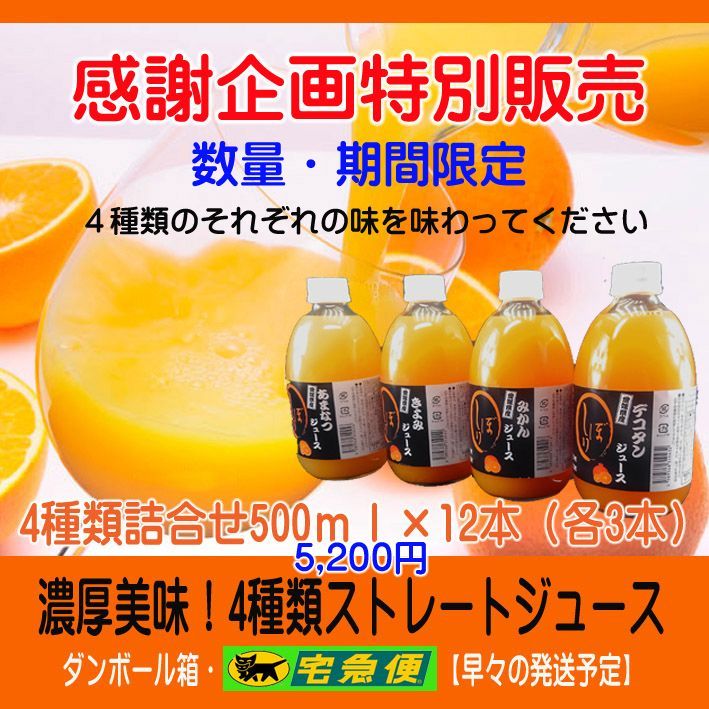 濃縮還元してない4種類詰合せジュース500ｍｌ×12本 濃厚美味 濃縮還元してない4種類詰合せジュース500ml×12本 濃厚美味！ 濃縮