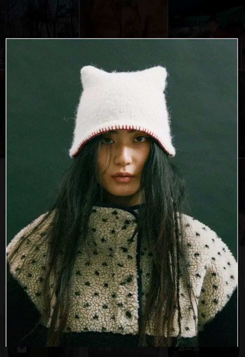 ホクス・フォカス kitten bucket cat beanie