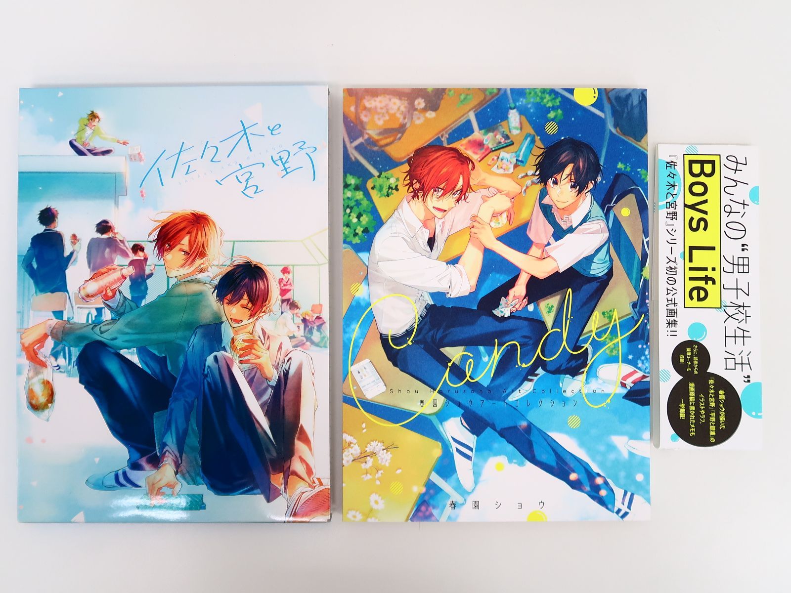 春園ショウアートコレクション☆サイン入り Amazon.co.jp: Candy