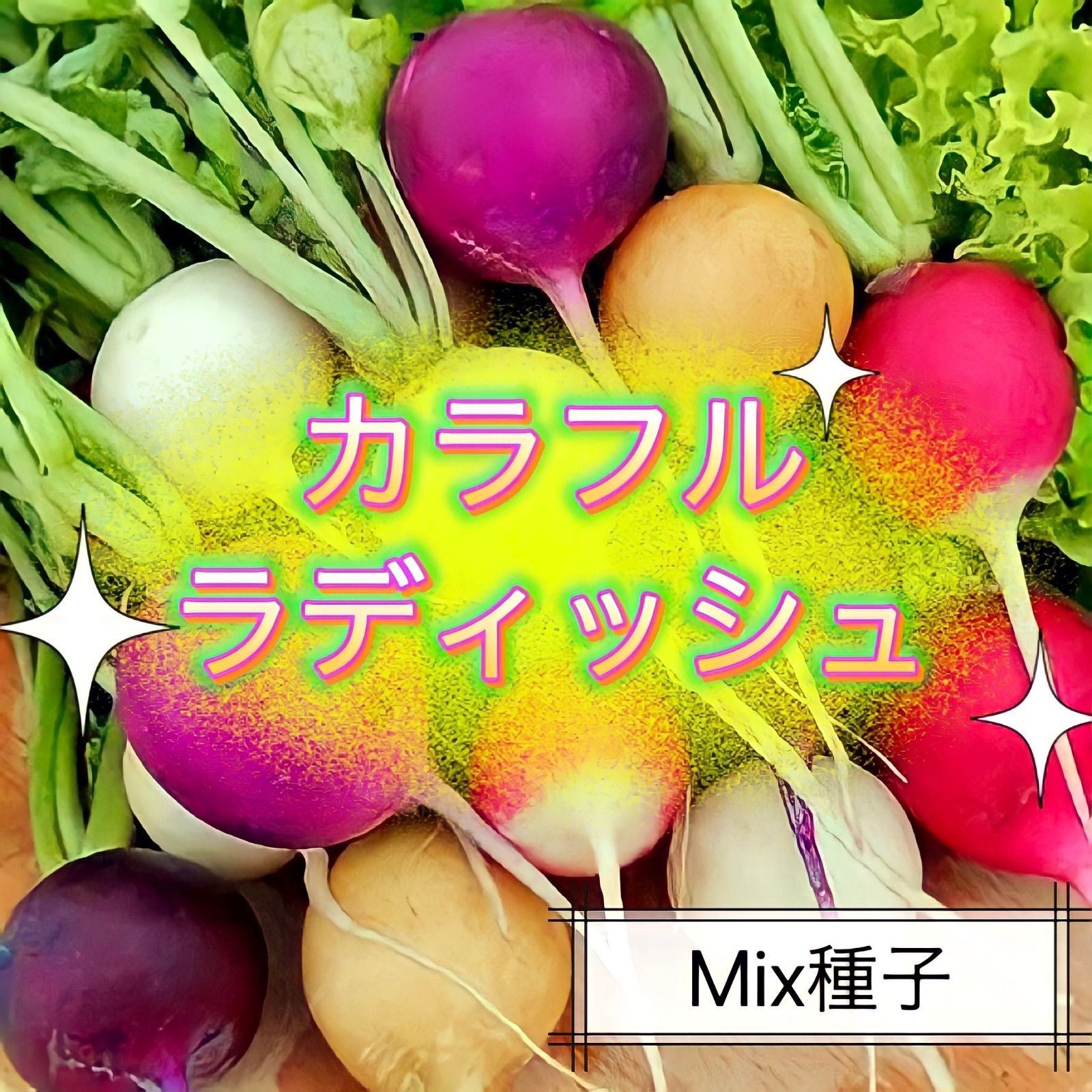 ☆彩ラディッシュ☆ Mix種子2㎖330円 6色二十日大根の種 カラフル西洋
