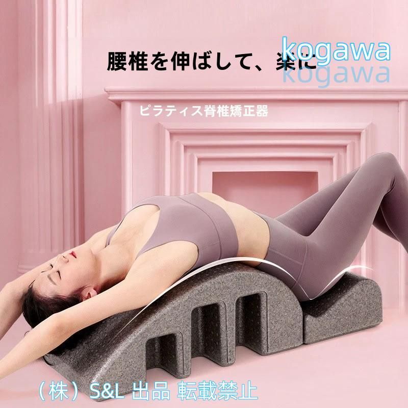 イルカ スナメリ 骨 標本 瀬戸内海 脊椎 骨格標本 【希少】連休値下げ