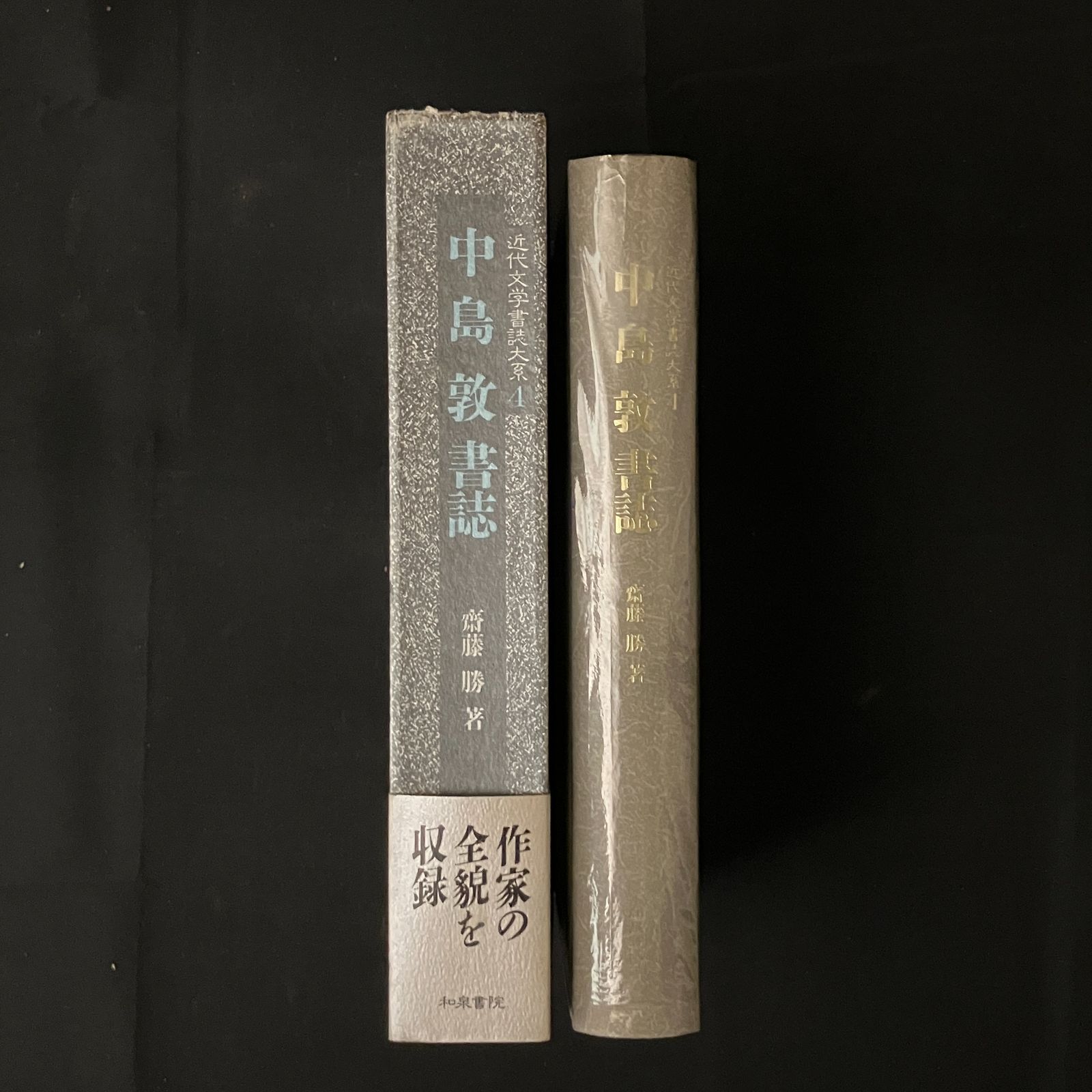 中島敦書誌 (近代文学書誌大系) 本 中島敦書誌 (近代文学書誌大系 4)