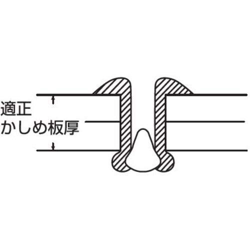 エビ ブラインドリベット