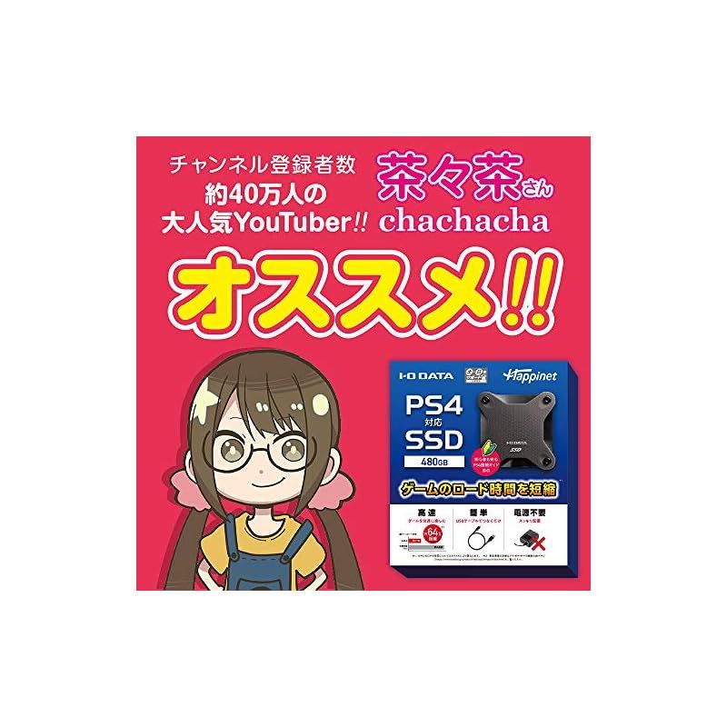PS 4対応 外付けSSD 480 GB 1