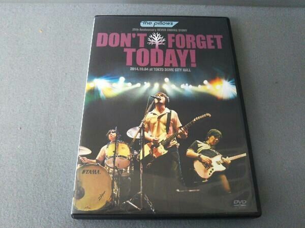 DVD the pillows 25th Anniversary NEVER ENDING STORY'DON'T