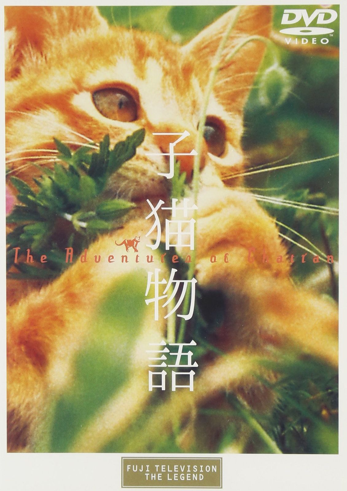 未開封　朗読劇 「猫と裁判」 DVD 新品未開封】子猫物語 [DVD] 畑正憲 (出演 監督 脚本) 形式: DVD