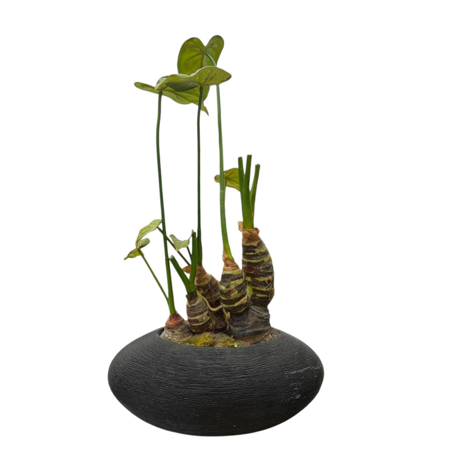 造花 人工観葉植物