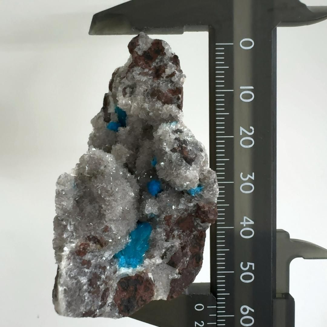 CM309】オールドノリタケ 風景 薔薇 皿 鉢 幅21.8cm 湖畔 明治 日本