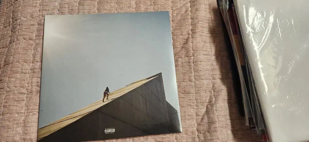 ダニエル DANIELLE シーザー Freudian blue vinyl