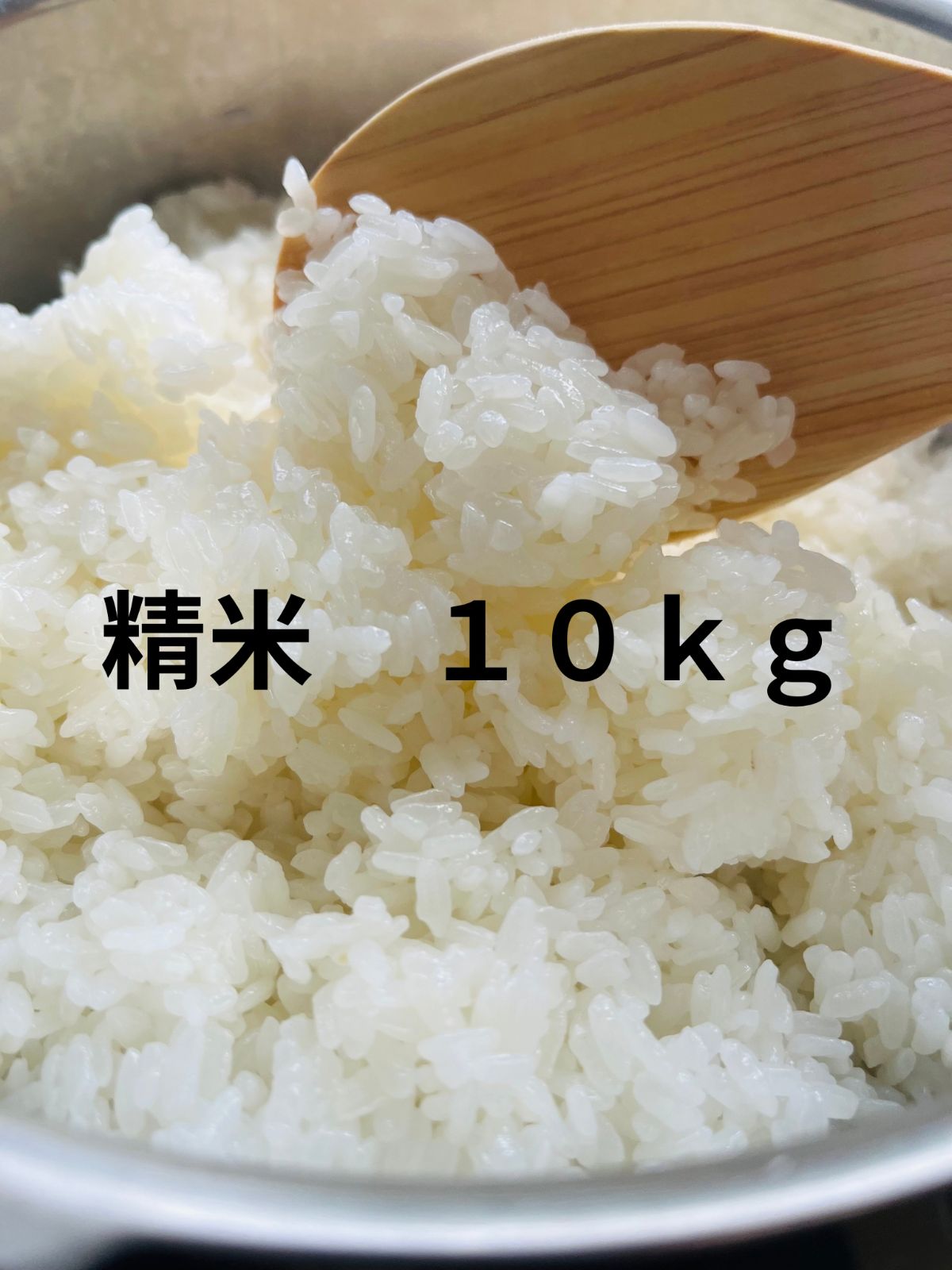 令和7年産 精米 福岡県産 夢つくし 10kg