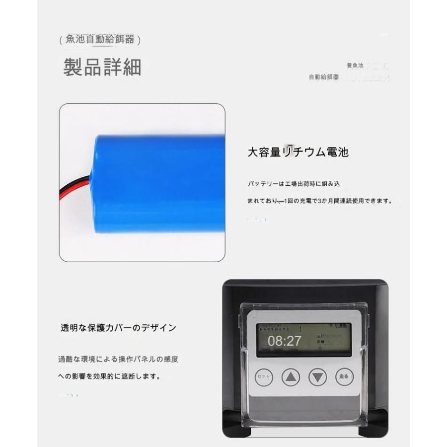 大好評 自動魚餌やり器