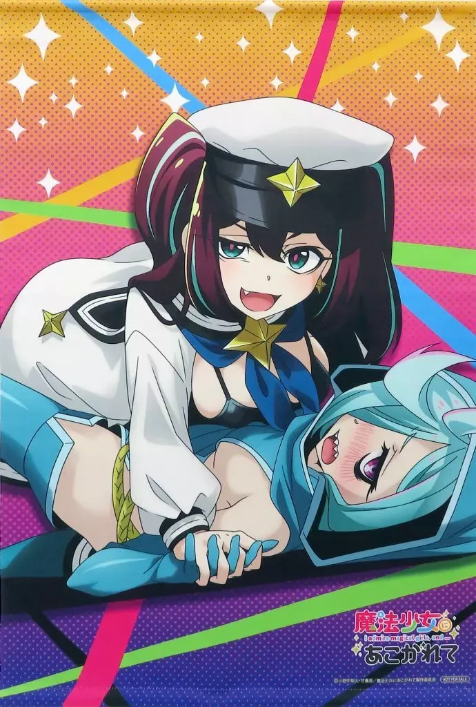 魔法少女にあこがれて まほあこ Blu-ray 全巻 フィギュア 魔法少女に